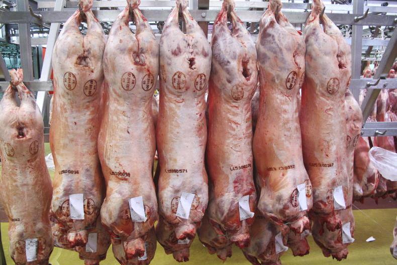 Sheep price update: ICM increases carcase weight limit to 22.5kg Sheep price update: ICM increases carcase weight limit to 22.5kg