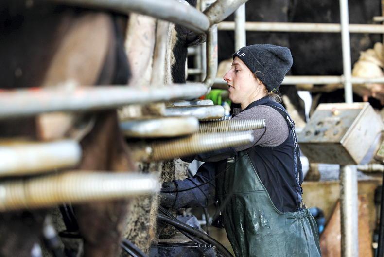Agri jobs: spate of dairy farm assistant roles offering €34,000 Agri jobs: spate of dairy farm assistant roles offering €34,000