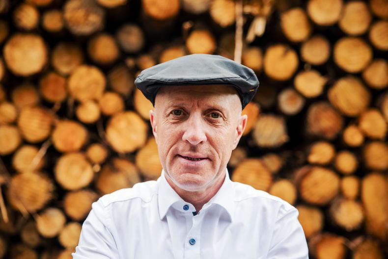 ‘Significant number’ of public bodies in talks to access forestry funds ‘Significant number’ of public bodies in talks to access forestry funds