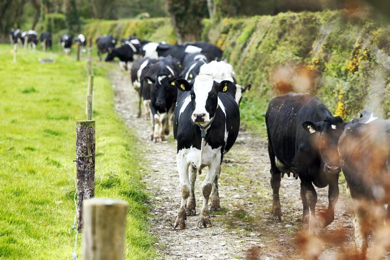 Livestock decline offsets emissions from higher 2024 fertiliser use - Teagasc Livestock decline offsets emissions from higher 2024 fertiliser use - Teagasc