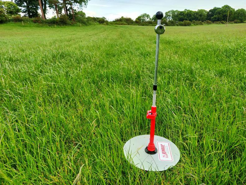 2025 grass growth highest in six years 2025 grass growth highest in six years