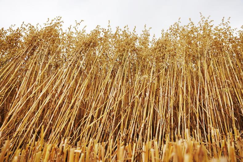 Two-crop rule removal dependent on votes at EU council and parliament Two-crop rule removal dependent on votes at EU council and parliament