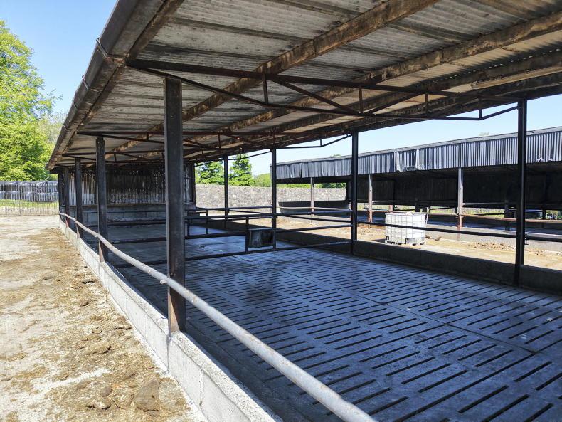 Royal battle for Meath farm lease under way Royal battle for Meath farm lease under way