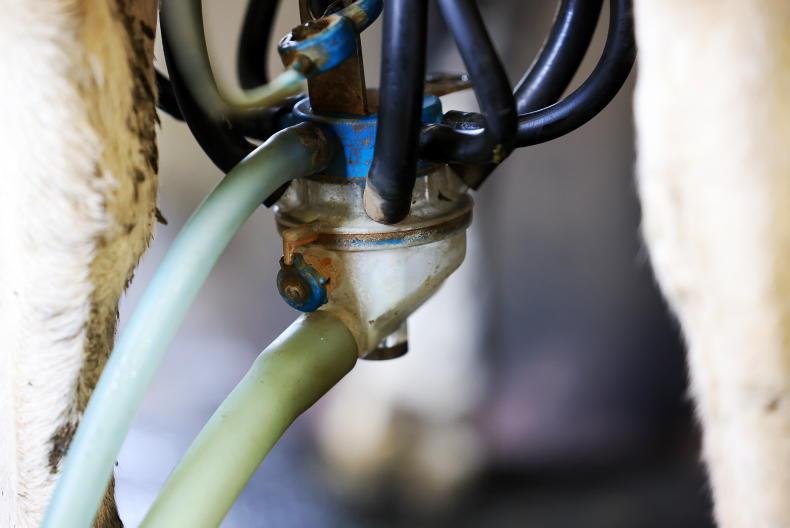 IHFA rift deepens ahead of EGM IHFA rift deepens ahead of EGM