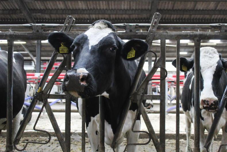 News in-brief from across NI farming News in-brief from across NI farming