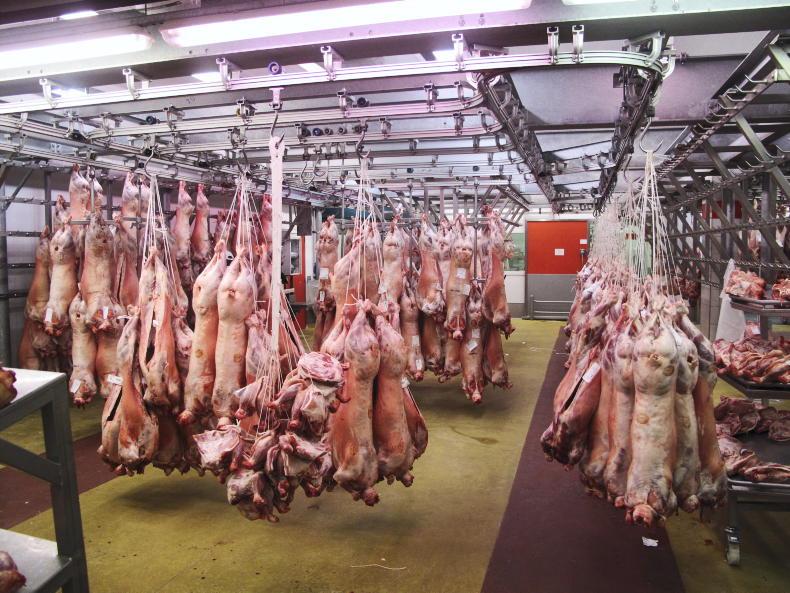 Spanish lamb price €1/kg ahead of France Spanish lamb price €1/kg ahead of France