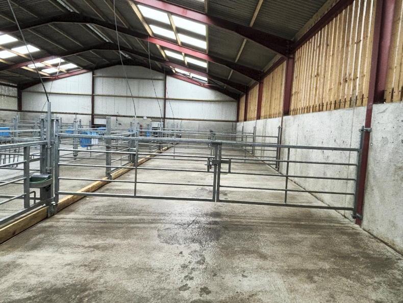 Time to get calf-rearing preparations under way Time to get calf-rearing preparations under way