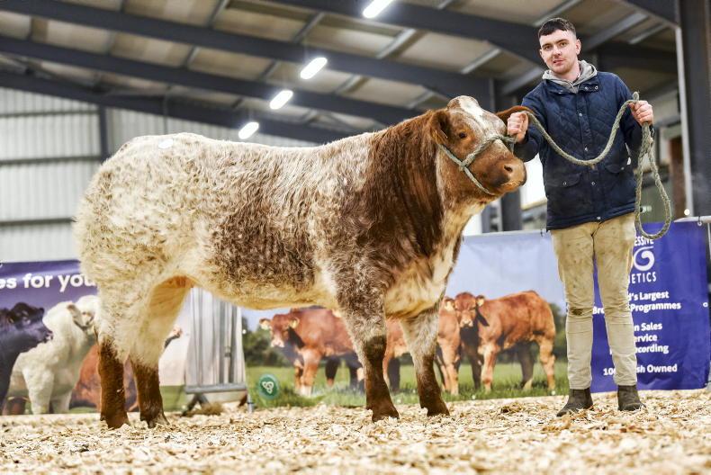 Banging hot trade for Blues in Carrick Banging hot trade for Blues in Carrick