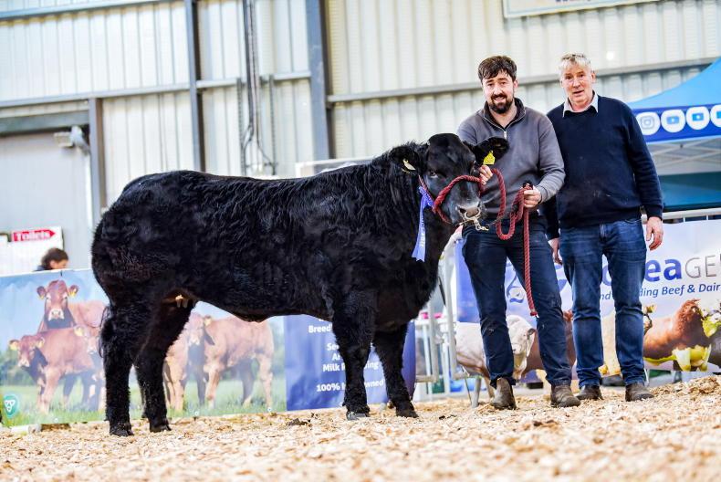 Banging hot trade for Blues in Carrick Banging hot trade for Blues in Carrick