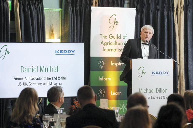Ireland needs to diversify from US – Mulhall Ireland needs to diversify from US – Mulhall