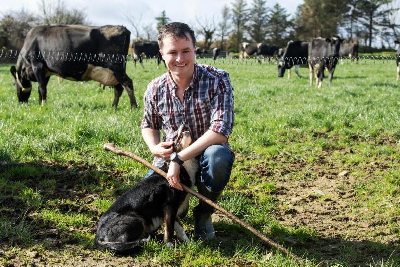 An Nollaig...An t-am is fearr den mbliain, sin é a deirtear ar aon chuma
An Nollaig...An t-am is fearr den mbliain, sin é a deirtear ar aon chuma