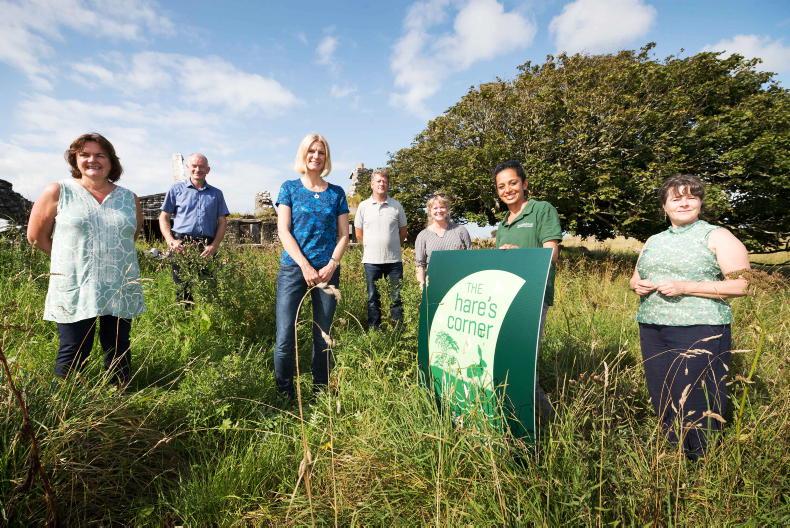 Local biodiversity projects receive funding of €3m Local biodiversity projects receive funding of €3m