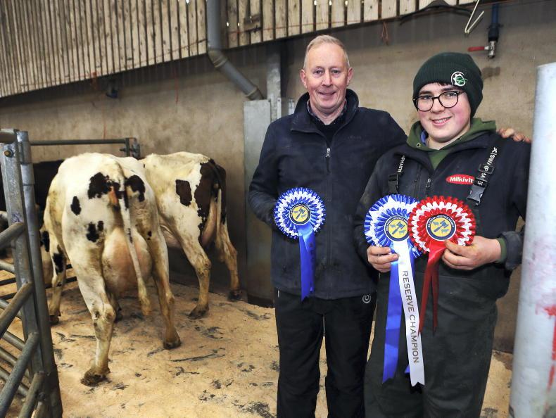 Dale Farm back in front for October Dale Farm back in front for October