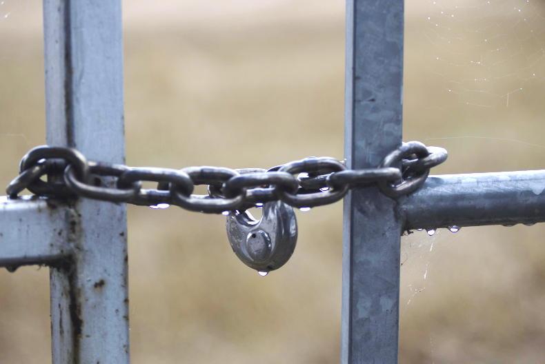 €30,000 worth of cattle stolen in Cork €30,000 worth of cattle stolen in Cork