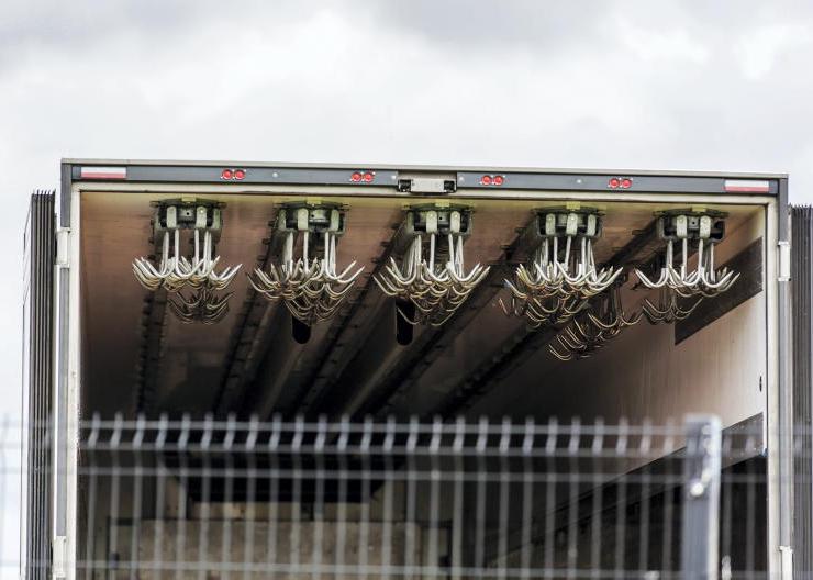 Beef factories ‘need to restructure to ensure profitability’ Beef factories ‘need to restructure to ensure profitability’