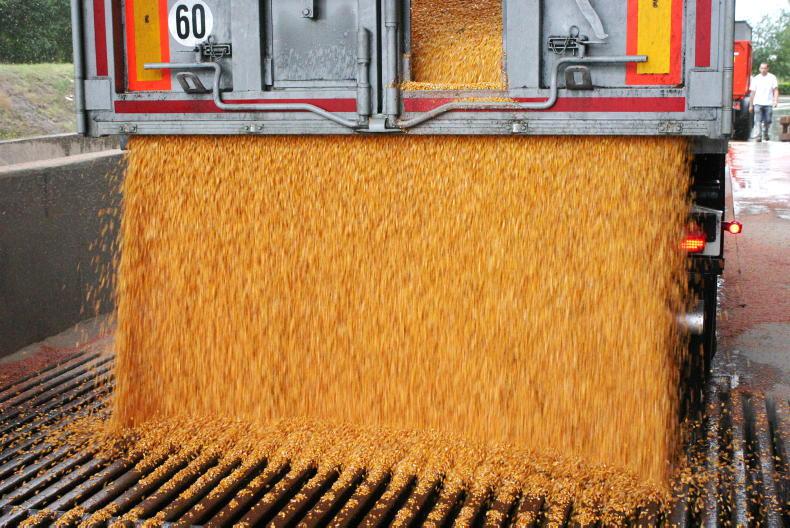 Grain Trends: prices up slightly this week Grain Trends: prices up slightly this week