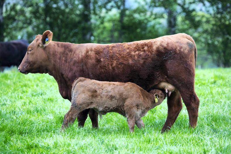 Department makes more cuts to farmer payments Department makes more cuts to farmer payments