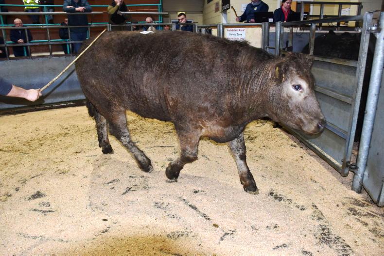 Northern View: most factories leave quotes unchanged Northern View: most factories leave quotes unchanged