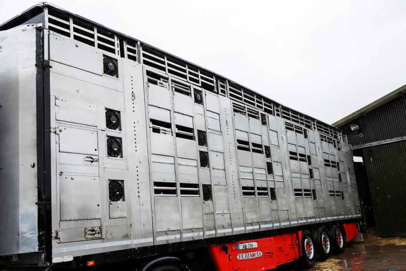 Bluetongue virus – the trade implications for live exports in Northern Ireland Bluetongue virus – the trade implications for live exports in Northern Ireland
