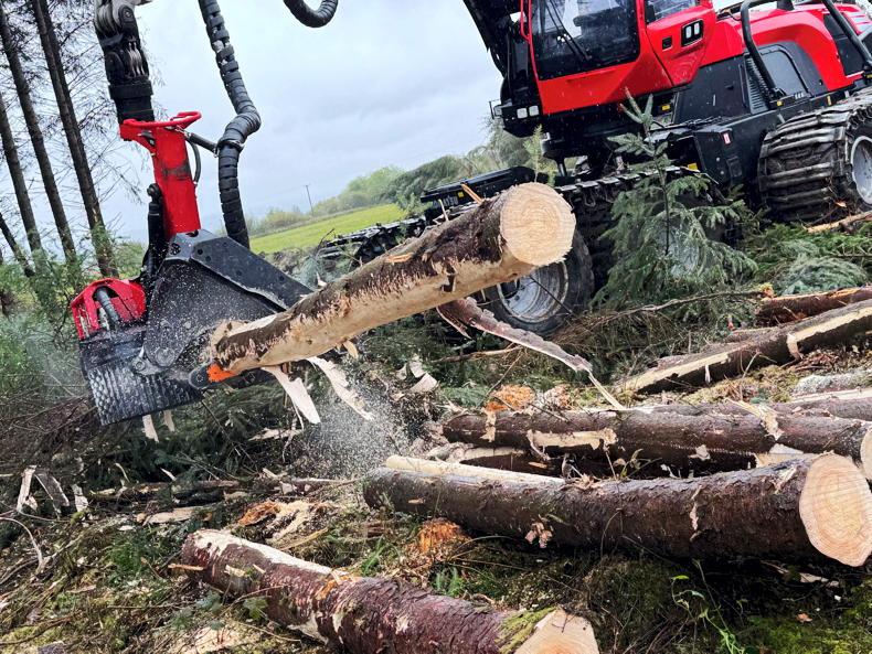 New funding for forest owners taking step towards certification New funding for forest owners taking step towards certification