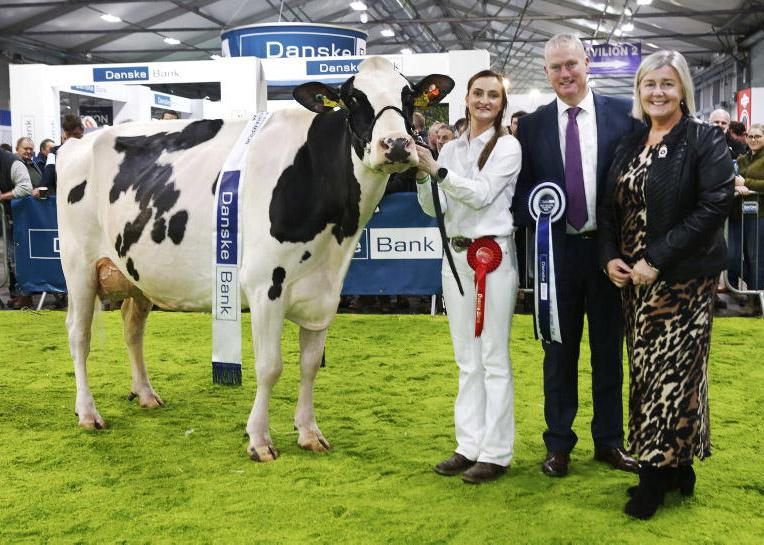 Hallow Holsteins look to make it three in-a-row Hallow Holsteins look to make it three in-a-row
