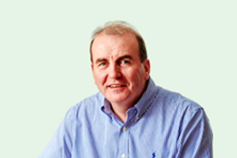 Hallow Holsteins look to make it three in-a-row Hallow Holsteins look to make it three in-a-row