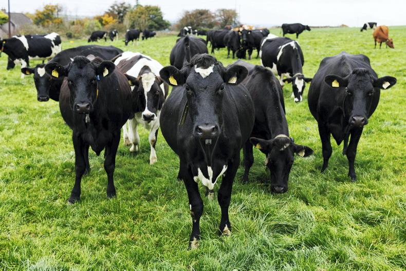 Irish farm incomes driven by the laws of supply and demand Irish farm incomes driven by the laws of supply and demand