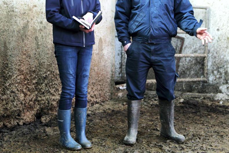 New penalty system for NI farms New penalty system for NI farms