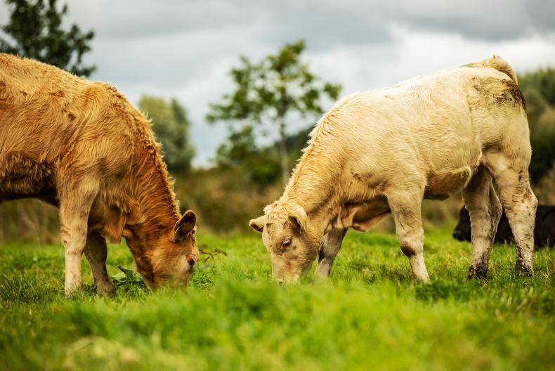 €86m in Eco Scheme payments issuing to farmers €86m in Eco Scheme payments issuing to farmers