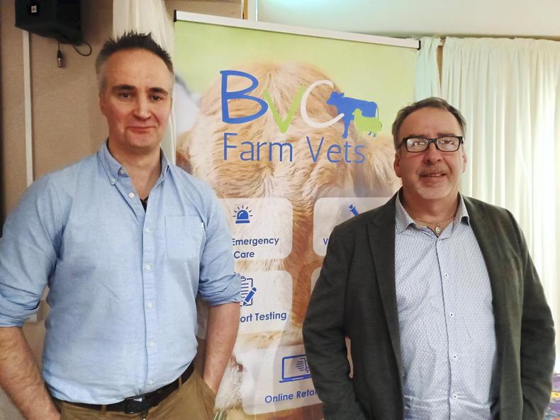 BTV will re-emerge in the spring, claims vet BTV will re-emerge in the spring, claims vet