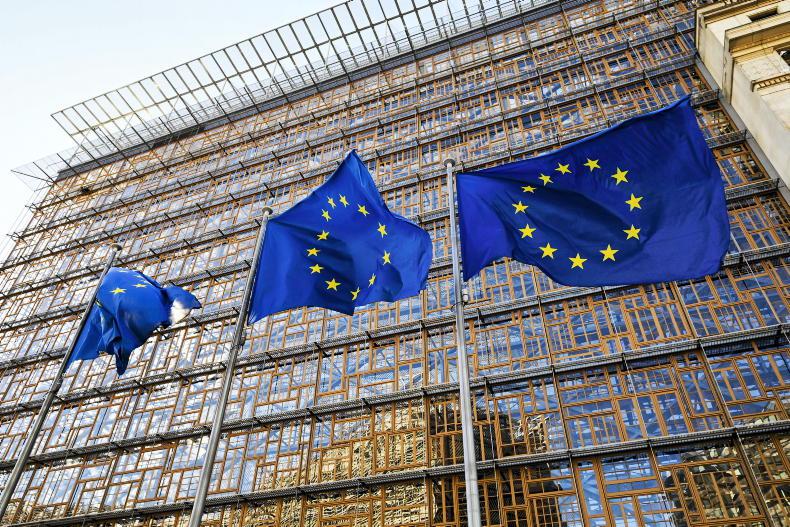 Government must declare Mercosur stance – IFA Government must declare Mercosur stance – IFA