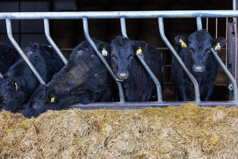 News in-brief from Northern Ireland News in-brief from Northern Ireland