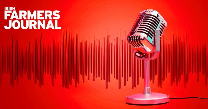 From 25 cows in Austria to managing 1,000 cows in Germany From 25 cows in Austria to managing 1,000 cows in Germany