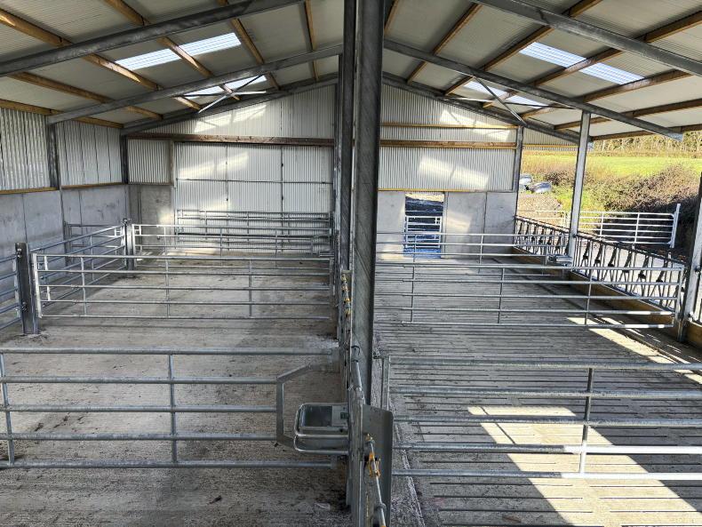 TAMS Tranche 8 approvals reach 77% TAMS Tranche 8 approvals reach 77%