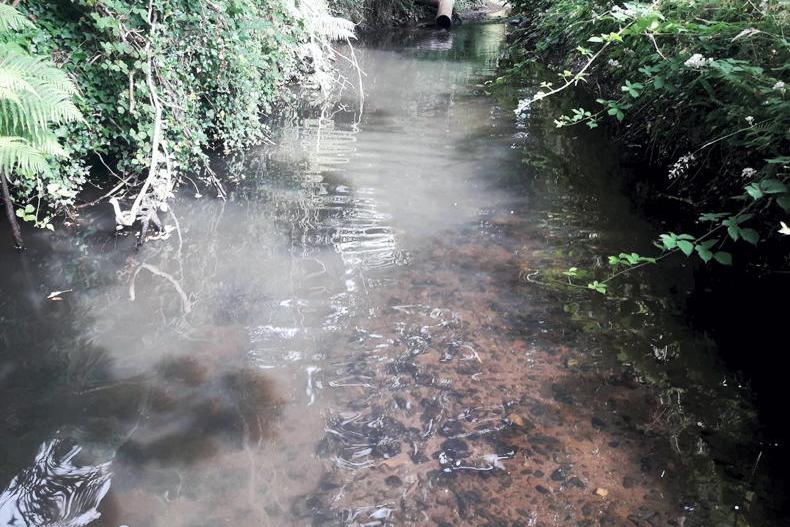 Uisce Éireann convicted and fined over river pollution Uisce Éireann convicted and fined over river pollution