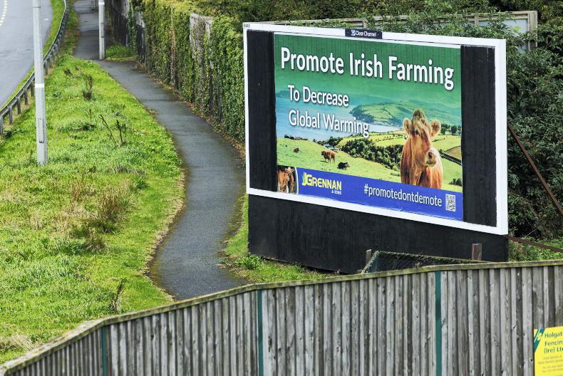 More research needed on Irish grain feed values More research needed on Irish grain feed values