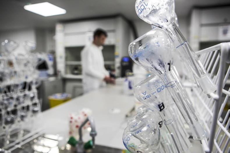 Bluetongue is outside control zone, says DAERA Bluetongue is outside control zone, says DAERA