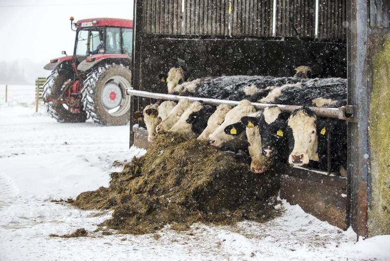 Dairy Management: looking after stock in the cold spell Dairy Management: looking after stock in the cold spell