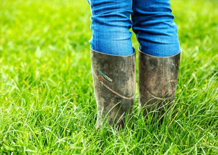 Grass growth rates recover in 2025 Grass growth rates recover in 2025