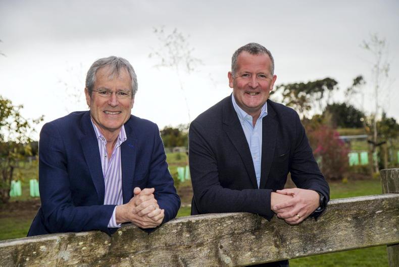 Niall Browne takes the reins at Alliance Niall Browne takes the reins at Alliance