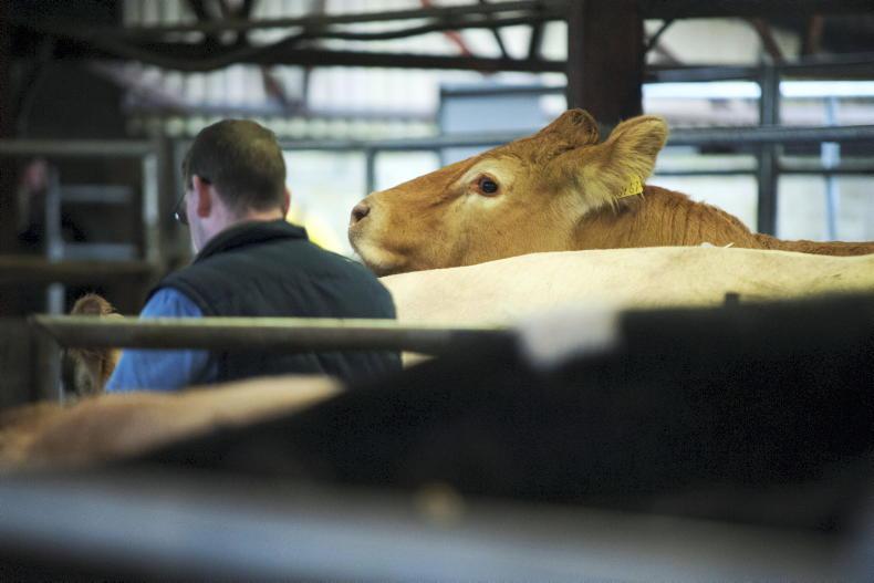 Marts cancel Saturday sales in solidarity with Athlone protest Marts cancel Saturday sales in solidarity with Athlone protest