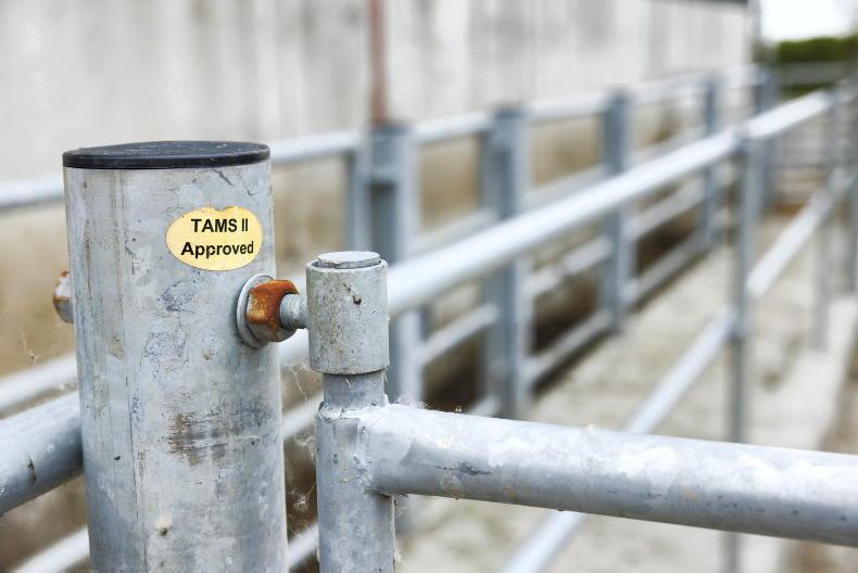 TAMS allocation approximately €87m this year and next TAMS allocation approximately €87m this year and next