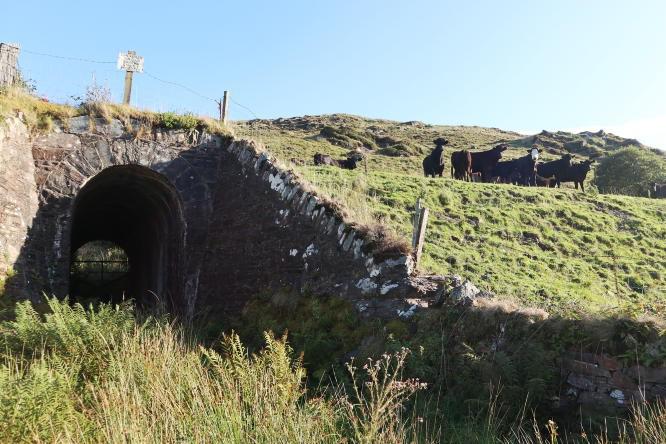 Over €60m in funding for greenways in 2026 Over €60m in funding for greenways in 2026