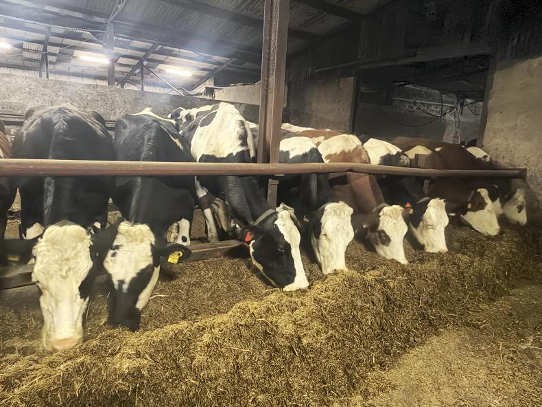 Lots of milk can create a challenge Lots of milk can create a challenge