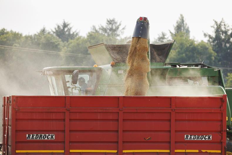 Grain Trends: supplies high across all grains Grain Trends: supplies high across all grains