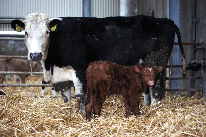 15 February deadline for SCEP information 15 February deadline for SCEP information