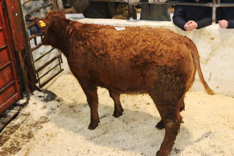 Martbids Database: numbers and prices rise across the board Martbids Database: numbers and prices rise across the board