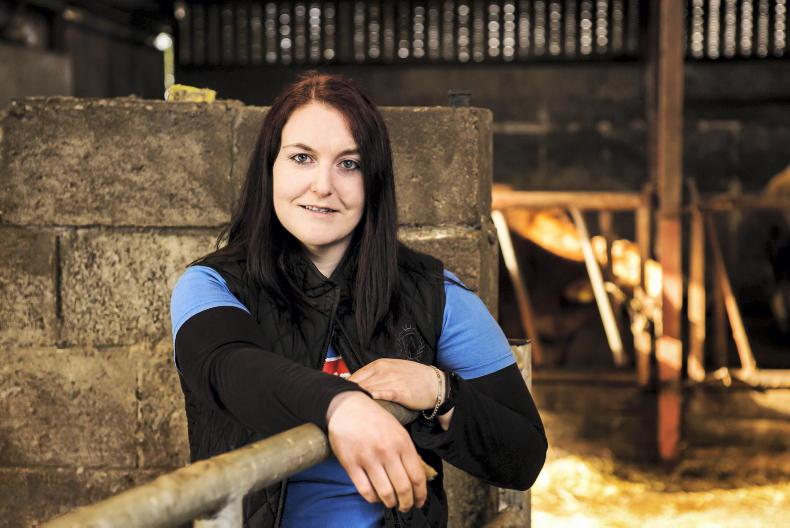 Farmer Writes: no Belgian Blue bulls this year Farmer Writes: no Belgian Blue bulls this year