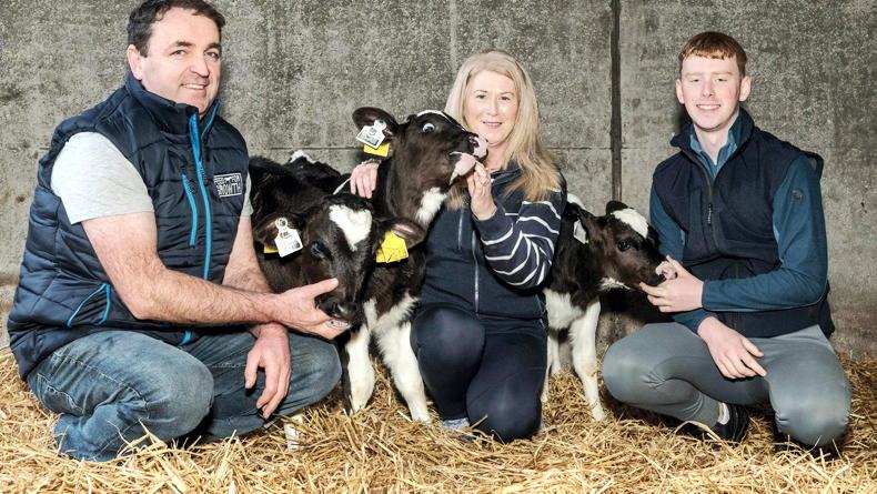 Consistency and performance at the heart of calf rearing in Co Kerry Consistency and performance at the heart of calf rearing in Co Kerry