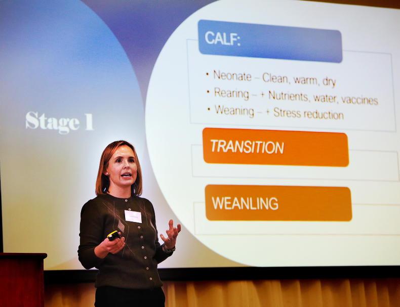 Vaccines ‘non-negotiable’ for calves, says vet Vaccines ‘non-negotiable’ for calves, says vet